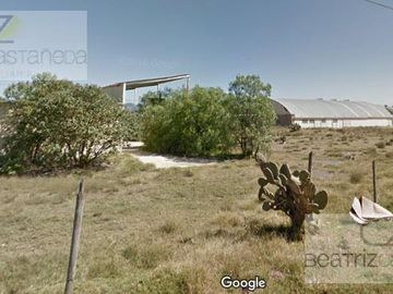 Local - Pachuca