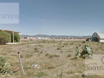 Local - Pachuca