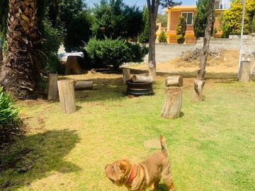 Casa - Rancho o rancheria San Miguel Regla