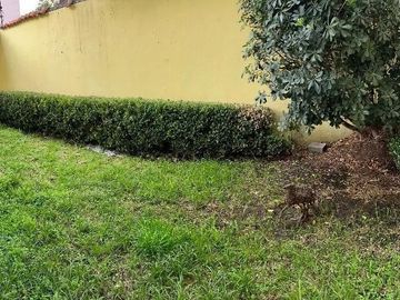 Casa en condominio en  VENTA EN INTERLOMAS, VALLE DE LAS PALMAS (D)