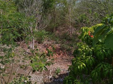 En venta Terreno de 1 Hectárea en Zona Xmatkuil. Yucatan.