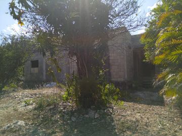 En venta Terreno de 1 Hectárea en Zona Xmatkuil. Yucatan.
