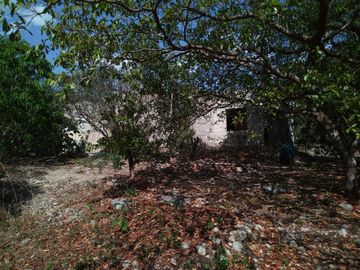En venta Terreno de 1 Hectárea en Zona Xmatkuil. Yucatan.