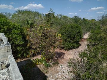 En venta Terreno de 1 Hectárea en Zona Xmatkuil. Yucatan.