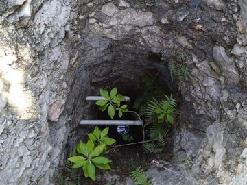 En venta Terreno de 1 Hectárea en Zona Xmatkuil. Yucatan.