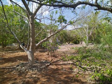 En venta Terreno de 1 Hectárea en Zona Xmatkuil. Yucatan.