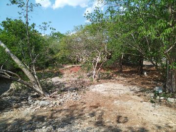 En venta Terreno de 1 Hectárea en Zona Xmatkuil. Yucatan.