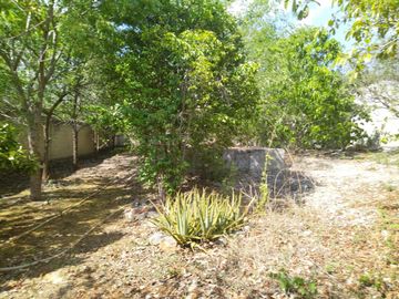 En venta Terreno de 1 Hectárea en Zona Xmatkuil. Yucatan.