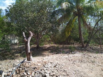 En venta Terreno de 1 Hectárea en Zona Xmatkuil. Yucatan.