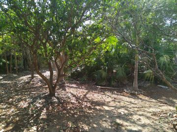 En venta Terreno de 1 Hectárea en Zona Xmatkuil. Yucatan.