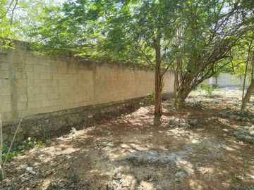 En venta Terreno de 1 Hectárea en Zona Xmatkuil. Yucatan.