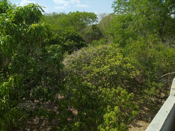 En venta Terreno de 1 Hectárea en Zona Xmatkuil. Yucatan.