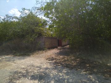En venta Terreno de 1 Hectárea en Zona Xmatkuil. Yucatan.