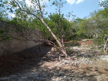 En venta Terreno de 1 Hectárea en Zona Xmatkuil. Yucatan.
