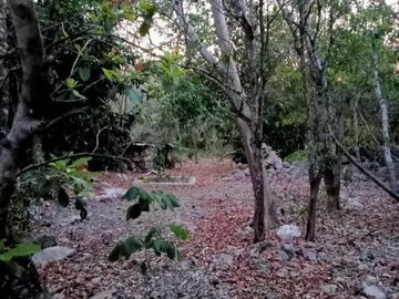 Casa - Ixil