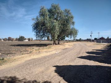 Casa - Pedro Escobedo
