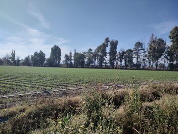 Casa - Pedro Escobedo