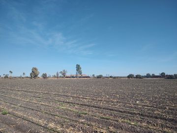 Casa - Pedro Escobedo