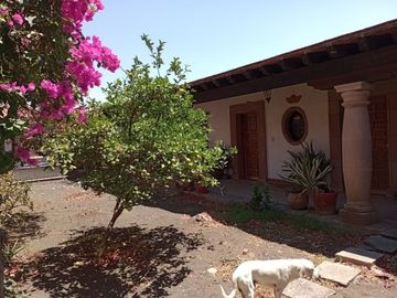 Casa - Pedro Escobedo