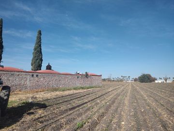 Casa - Pedro Escobedo