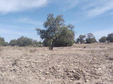 TERRENO ZUMPANGO PASEO BICENTENARIO SUP. 8,043.29 MTS