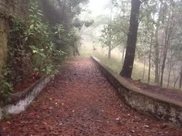 Casa son 4 casas en Venta juntas Real Montecasino, Huitzilac, Morelos