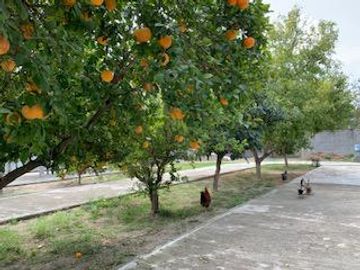 QUINTA EN VENTA CADEREYTA JIMENEZ