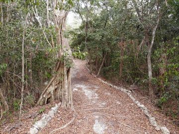 Se vende hectárea a súper precio.