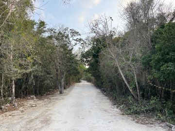 Se vende hectárea a súper precio.