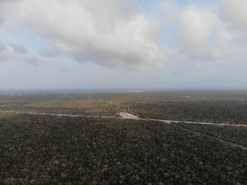 Se vende hectárea a súper precio.