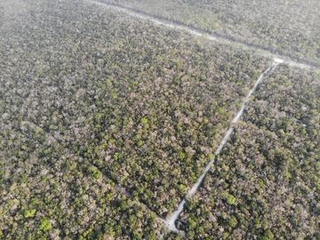 Se vende hectárea a súper precio.