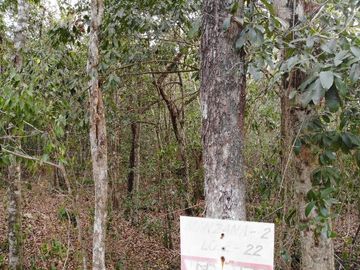 Se vende hectárea a súper precio.