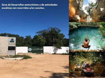 20 Hectáreas en la  Ruta de los  Cenotes – Puerto Morelos, Quintana Roo , mex.