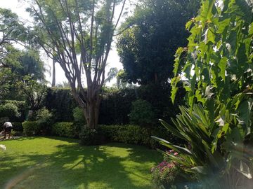 Casa en venta en zona Dorada de Cuernavaca