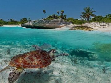 ESTUDIO CERCA DE LA PLAYA EN PREVENTA / APROVECHA LOS PRIMEROS PRECIOS!