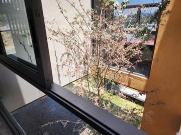 Casa en Venta Fraccionamiento El Olivar Altozano
