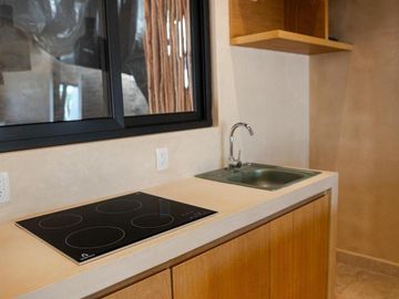 PENTHOUSE/2/HABITACIONES/PLAYA/TULUM/GYM/YOGA/PET FRIENDLY/MAR