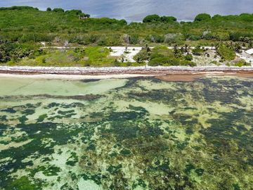 Terreno en Venta segunda linea de mar en Mahahual Entrega Inmediata