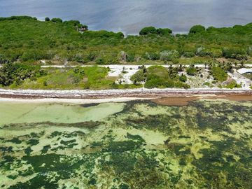 Terreno en Venta segunda linea de mar en Mahahual Entrega Inmediata