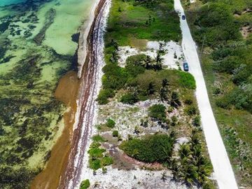 Terreno en Venta segunda linea de mar en Mahahual Entrega Inmediata