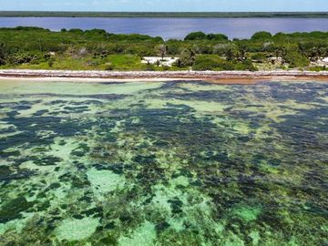 Terreno en Venta segunda linea de mar en Mahahual Entrega Inmediata
