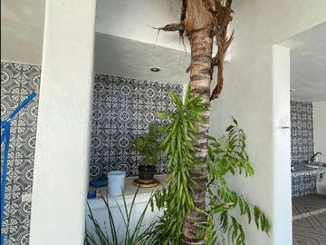 Casa Amueblada en Venta  en la playa de Yucatán, Chelem