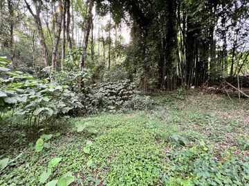 Terreno en venta rancho Viejo Veracruz zona Coapexpan.
