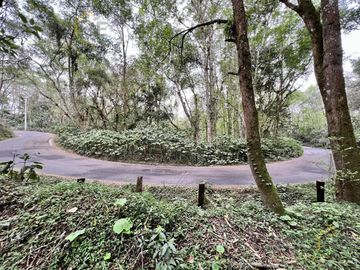 Terreno en venta rancho Viejo Veracruz zona Coapexpan.