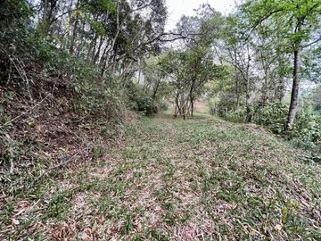 Terreno en venta rancho Viejo Veracruz zona Coapexpan.