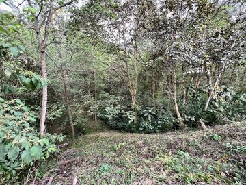 Terreno en venta rancho Viejo Veracruz zona Coapexpan.
