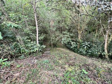 Terreno en venta rancho Viejo Veracruz zona Coapexpan.