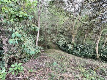 Terreno en venta rancho Viejo Veracruz zona Coapexpan.