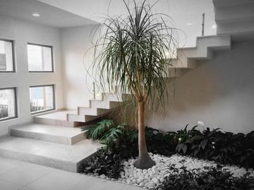 Casa en Venta  Altozano Fraccionamiento privado