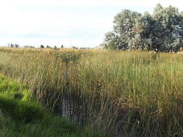 Terreno - San Andrés Ocotlán